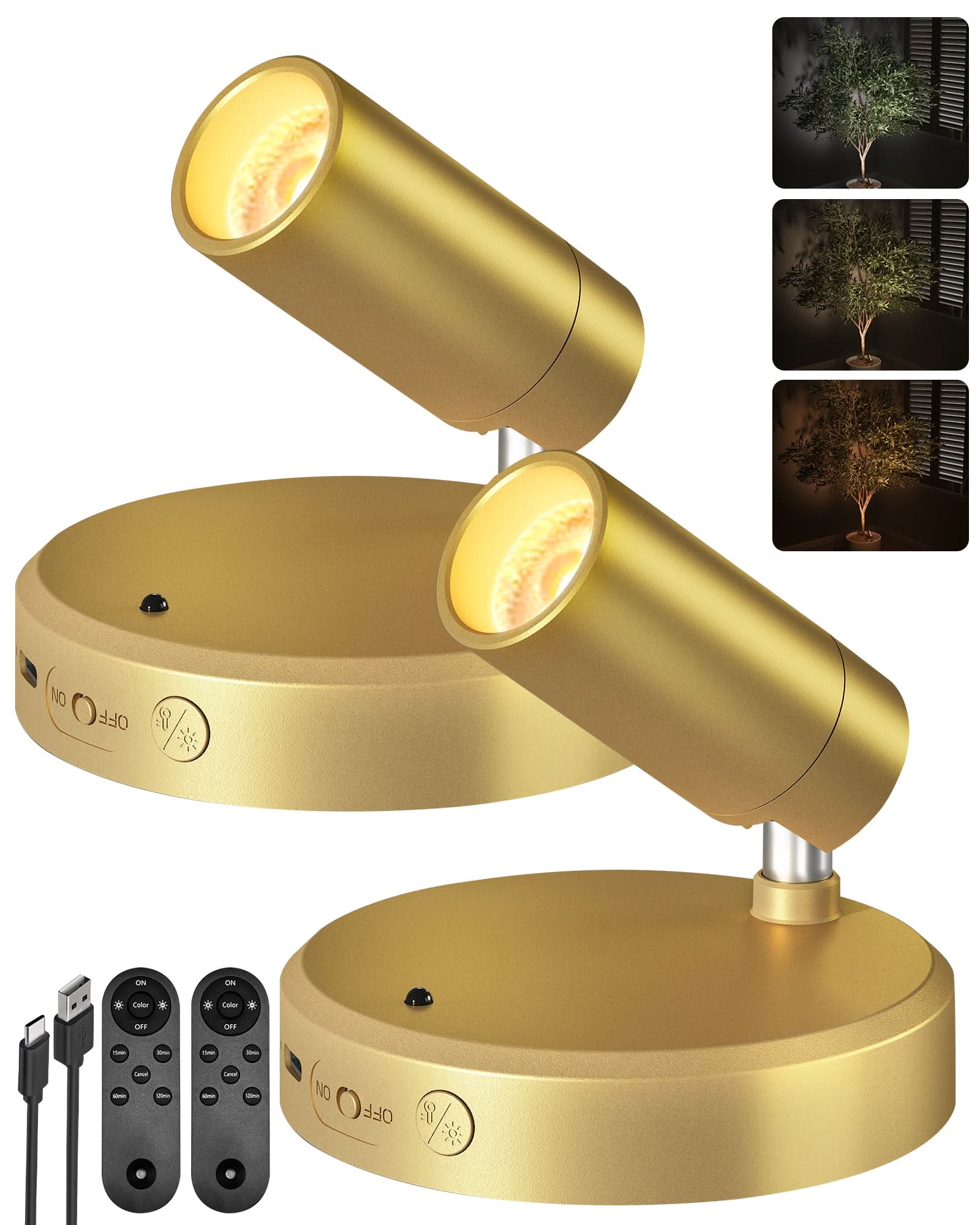 EZVALO Spotlights Indoor with Remote, 5500mAh Rechargeable Picture Lights, Wireless LED Uplighting with Timer&Dimmable, 3CCT, Display Lights for Plant Painting, Artwork, Accent Lighting (2Pack - Black) - EZVALO