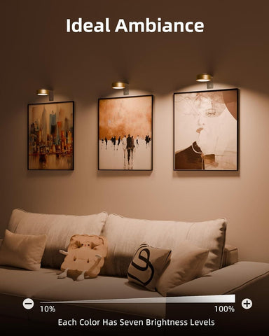 EZVALO Wall Lights for Pictures,Gallery,Frame(6 Pack)