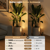 EZVALO EZL26 Spotlight - EZVALO