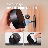 EZVALO EZL31 LED Wall Mounted Lights - EZVALO