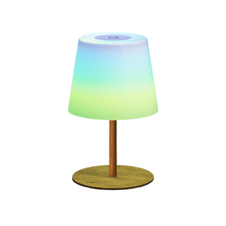 EZVALO EZL34 RGB Shower Lamp