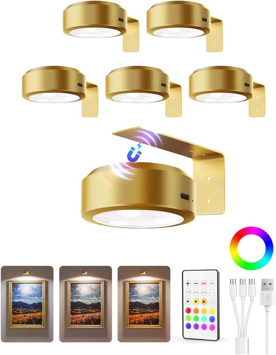 EZVALO Picture Lights for Wall, 2000mAh Rechargeable Battery Magnetic Poster Lights with 3 Color Temps & 12 RGB, Remote Dimmable Timer Painting Light, Wall Decor Light for Art Display, Frame (3 Pack) - EZVALO